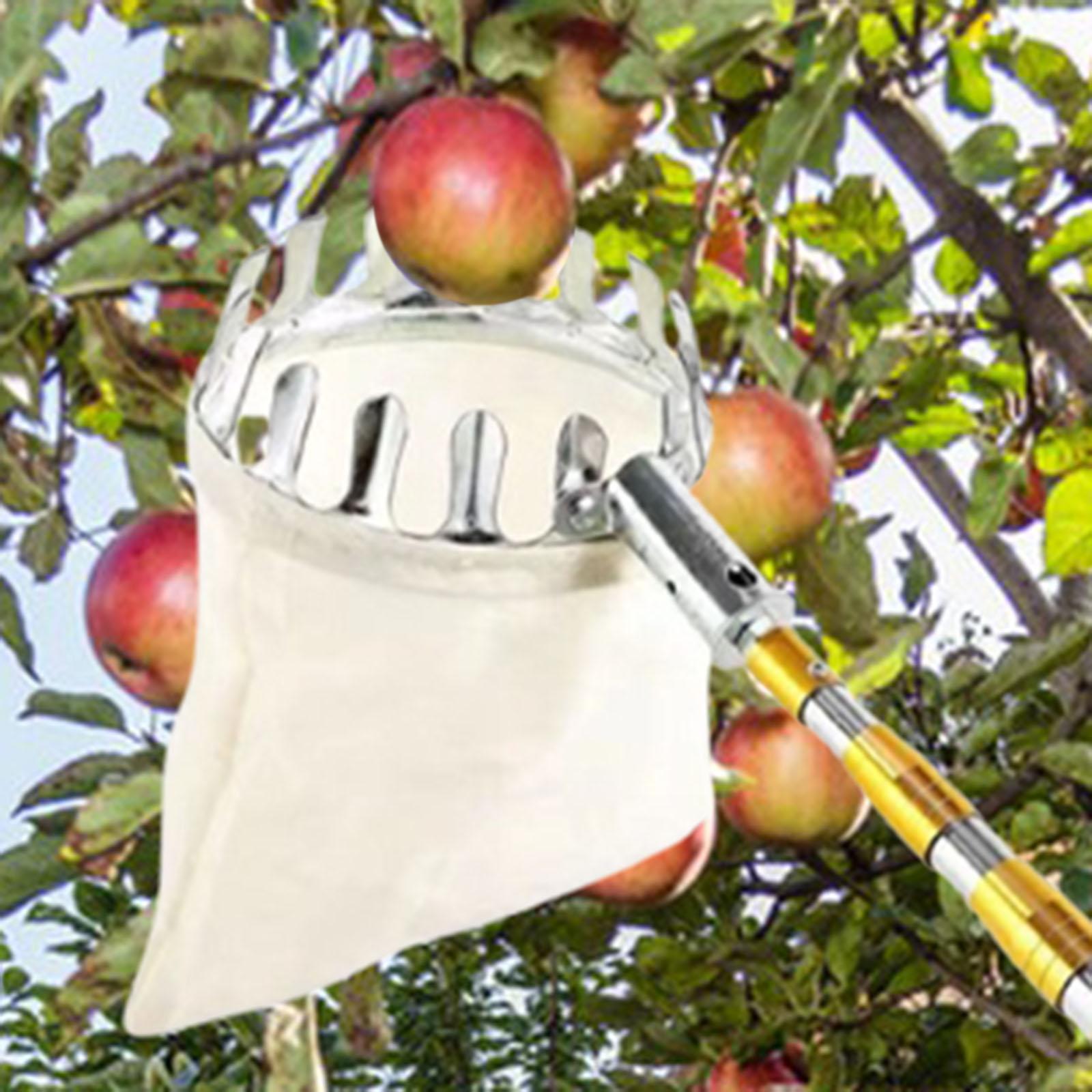 Agriculture Farming Practices - ステンレス鋼フルーツピッカー農業ハードウェア使いやすい実用的なフルーツキャッチャーバッグ収穫農場庭梨桃
