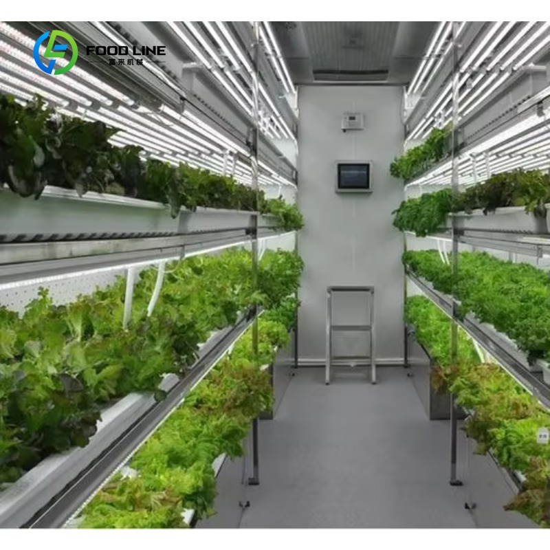 Agriculture Vertical Farming - カスタマイズ可能なスマートファーム垂直NFT水耕栽培システム、マイクログリーンや葉物野菜用のスチールコンテナ温室