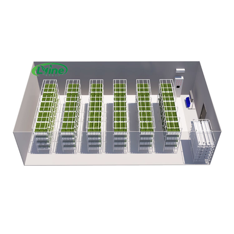 Agriculture Vertical Farming - 農業用温室 レタス NFT 水耕栽培システム 垂直水耕栽培ラック NFT