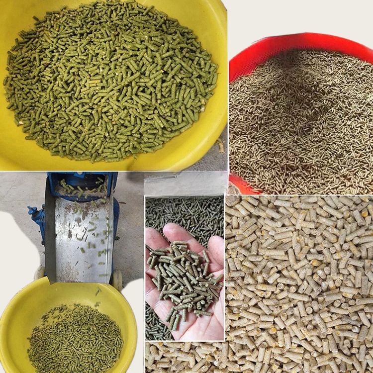 動物飼料用ペレタイザー機械、木材飼料製造機、家禽飼料加工機、 - Wood Pellet Making Machine のレビューと価格
