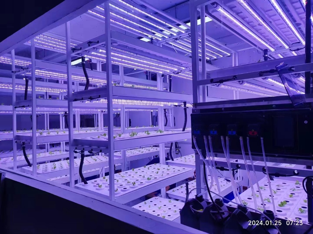小型垂直水耕栽培タワーシステム 室内エアロポニック農業機器  - Agriculture Vertical Farming のレビューと価格