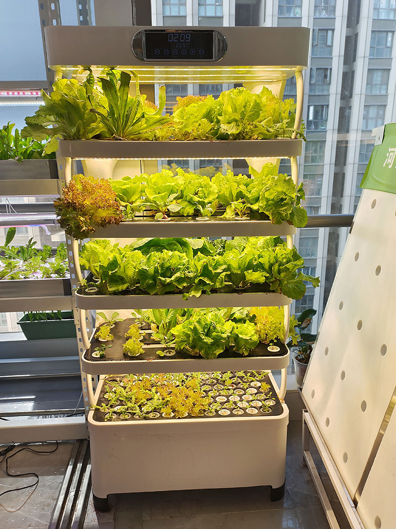 野菜、レタス、イチゴを栽培するための農業機械、垂直栽培システ - Agriculture Vertical Farming のレビューと価格