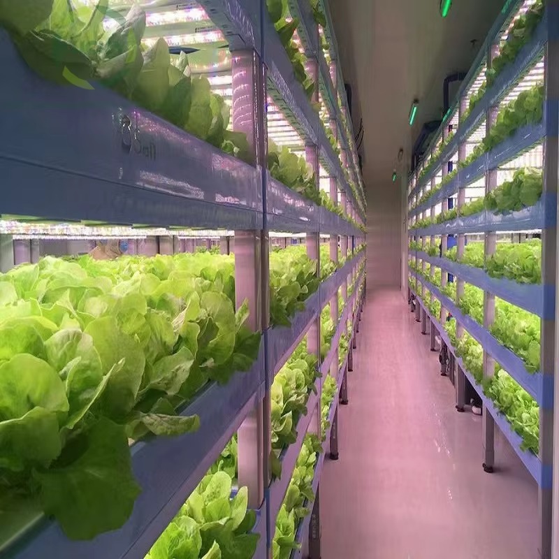 カスタム農業用温室 水耕栽培コンテナシステム 垂直農業 水耕 - Agriculture Vertical Farming のレビューと価格