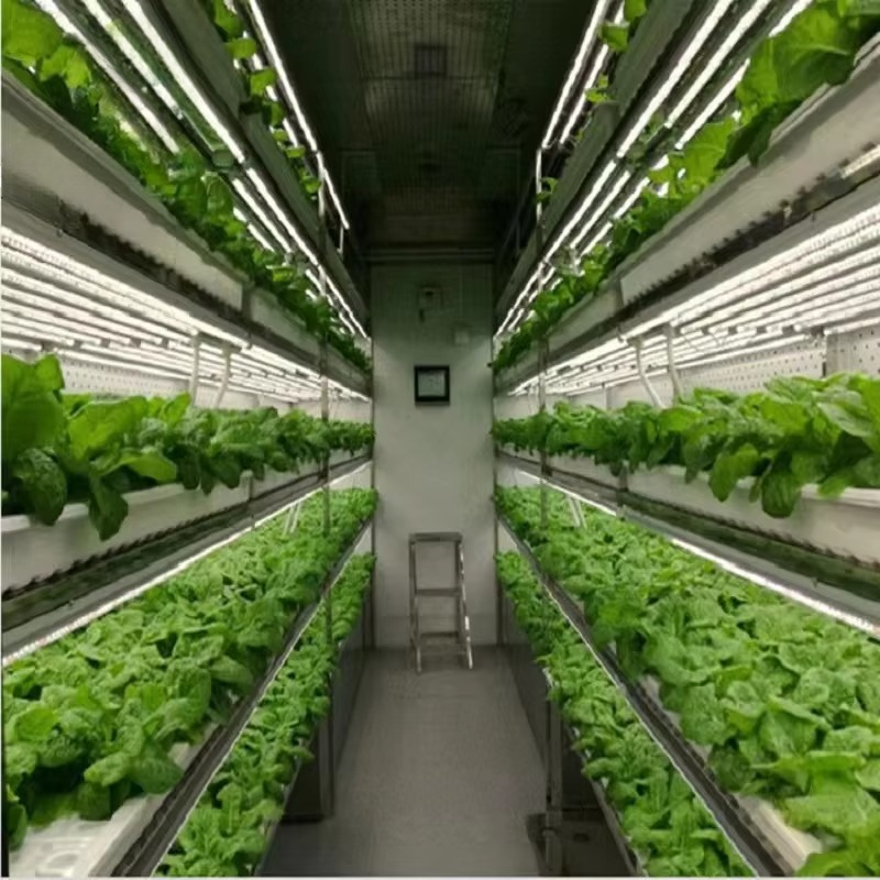 カスタム農業用温室 水耕栽培コンテナシステム 垂直農業 水耕 - Agriculture Vertical Farming のレビューと価格