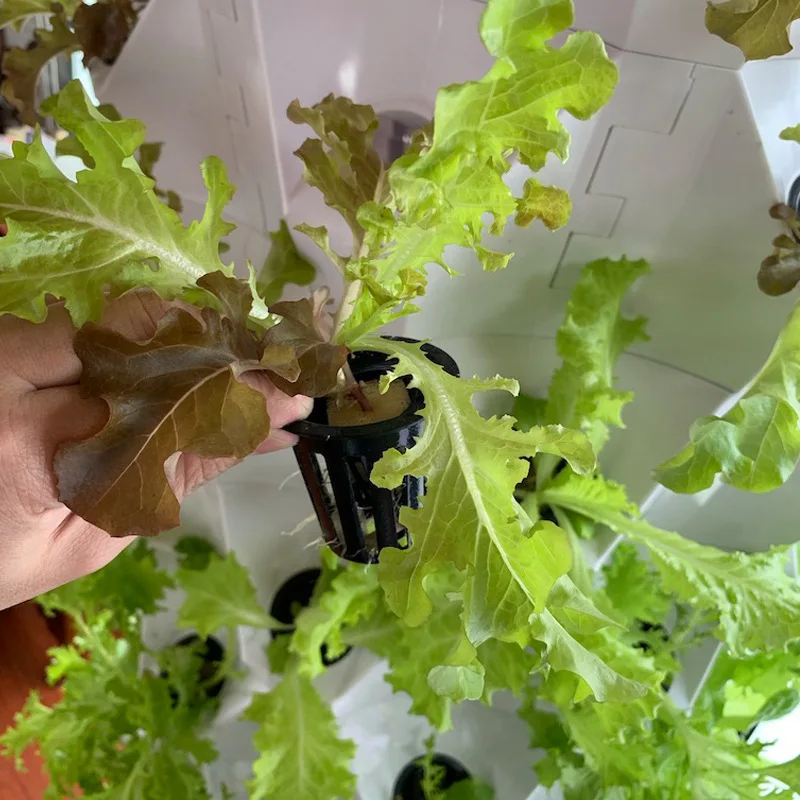 農業用温室垂直農法エアロポニックスシステム水耕栽培タワーガー - Agriculture Vertical Farming のレビューと価格