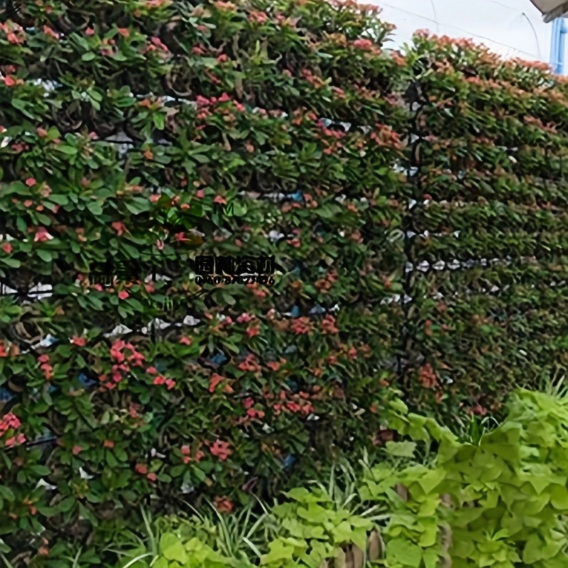 マルチフェルト植栽袋,野菜,果物,植物の栽培のための花の植物 - Agriculture Vertical Farming のレビューと価格