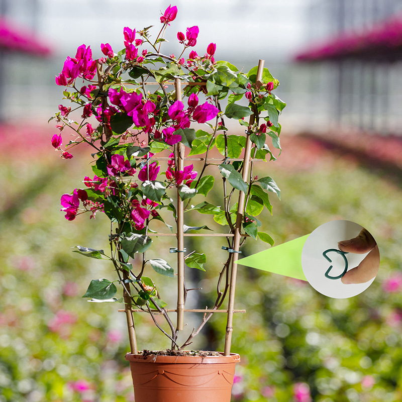 50/100個入り ガーデン植物クリップ つる性植物用垂直栽 - Agriculture Vertical Farming のレビューと価格