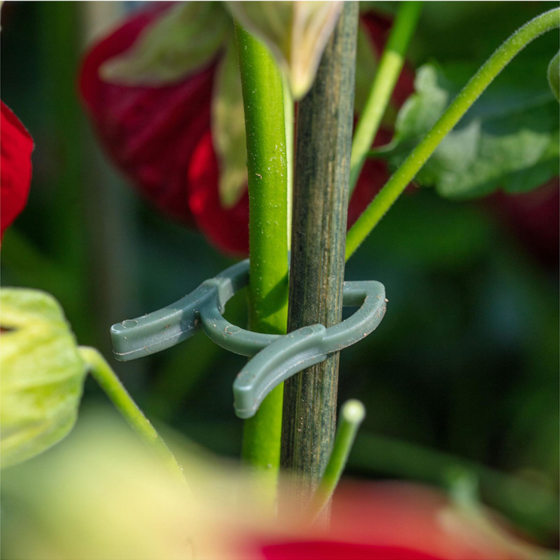 50/100個入り ガーデン植物クリップ つる性植物用垂直栽 - Agriculture Vertical Farming のレビューと価格